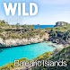 Wild Guide Balearic Islands - Androidアプリ