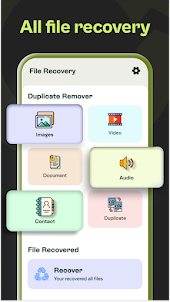 All Recovery: Restore all file