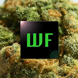Weed Facts icon