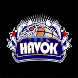 Team Havok icon