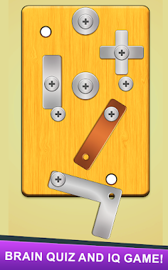 Screw Nuts and Bolts Puzzle - Screenshot 2