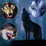 Wolf Themes icon