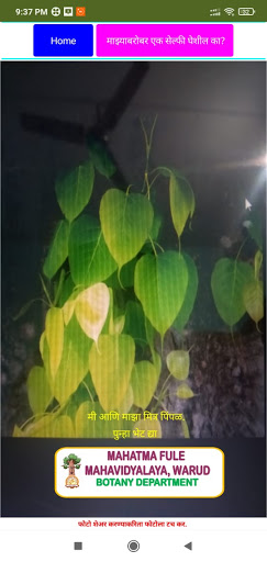 Talking Tree (MFV, Warud) Screen 3
