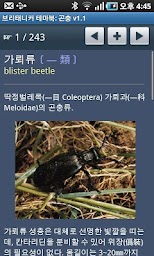 브리태니커 테마북-곤충