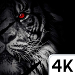 Cover Image of Tải xuống Tiger Dark Wallpaper 4K 1.0.0 APK