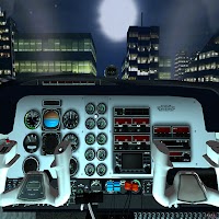 Real Pilot Flight Simulation
