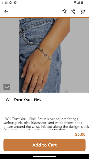 Smart Options Jewelry Screen 2