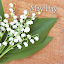 icon & wallpaper-May Day-