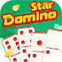 Domino Star1.3.012