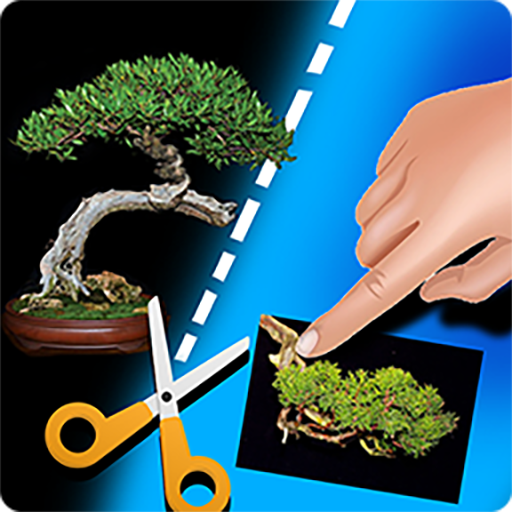 My Bonsai  Icon