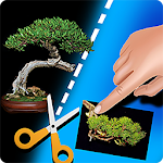 Cover Image of Download My Bonsai 1.1.8 APK