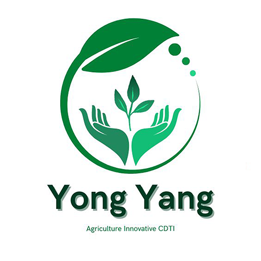 Yong Yang logo