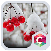 Snowy Cherry C launcher Theme 4.8.8 Icon
