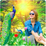 Cover Image of 下载 Peacock Photo Frames 1.0.1 APK