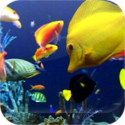 Top 50 Personalization Apps Like Sea Animals Live HD Wallpapers - Best Alternatives