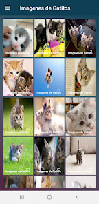 Screenshot 4 Imagenes de gatitos android