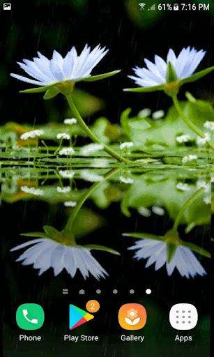 White Lotus Live Wallpaper