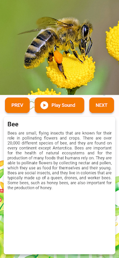 Animal Sound for Kids HQ Screen 3