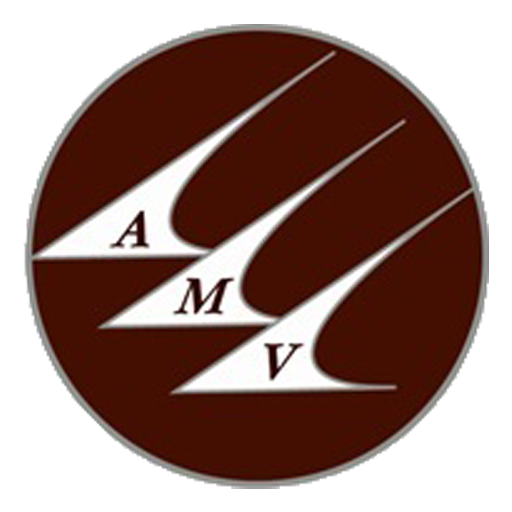 AMV Connect logo