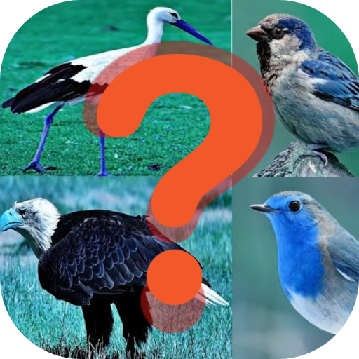 Bird quiz game