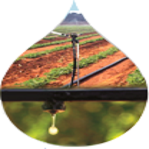 APMIP logo