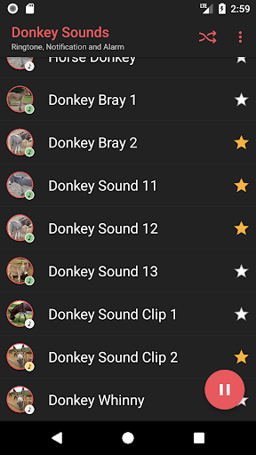 Donkey Sounds Screen 3