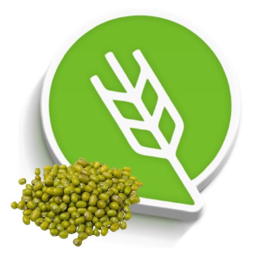 मुग लागवड #Agrownet™ logo