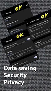 Soul Browser 8