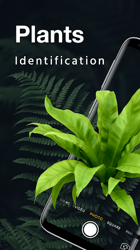 LeafSnap Plant Identification 2.3.3 screenshots 1