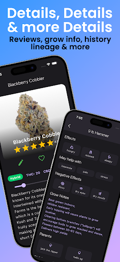 Strain Guide screenshot 7