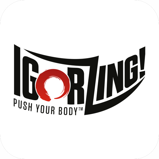 IgorZing logo