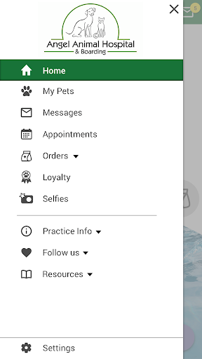 Angel Animal Vet Screen 2