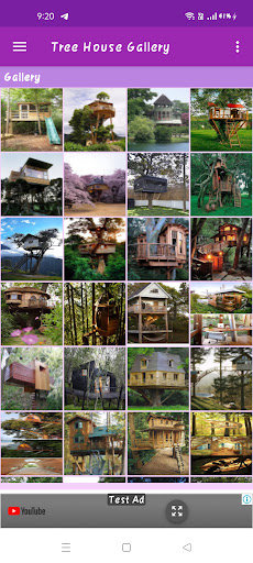 Tree House Gallery Screen 2