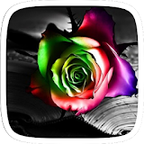 Neon Rose Flower Theme icon