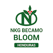 NKG BECAMO Bloom