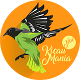 Masteran Kicau Srigunting icon