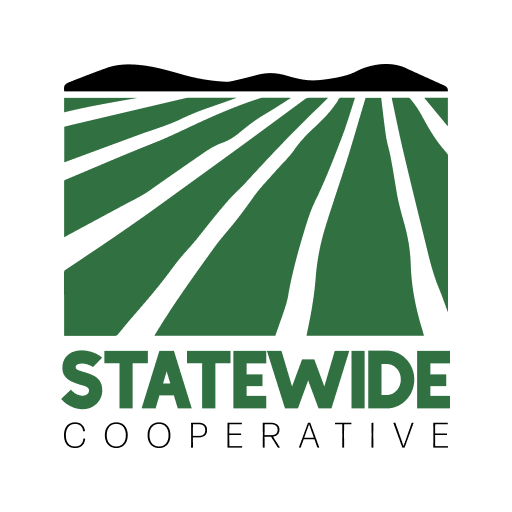 Statewide Coop Download on Windows