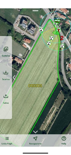AVEPA Image Screen 3