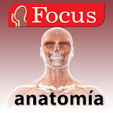 Atlas anatomía icon