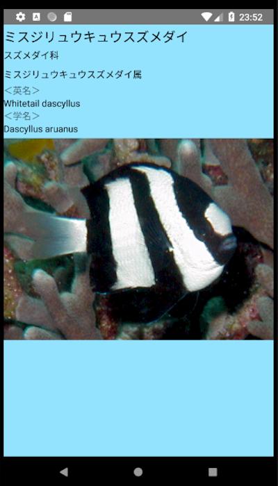沖縄の魚図鑑のおすすめ画像5