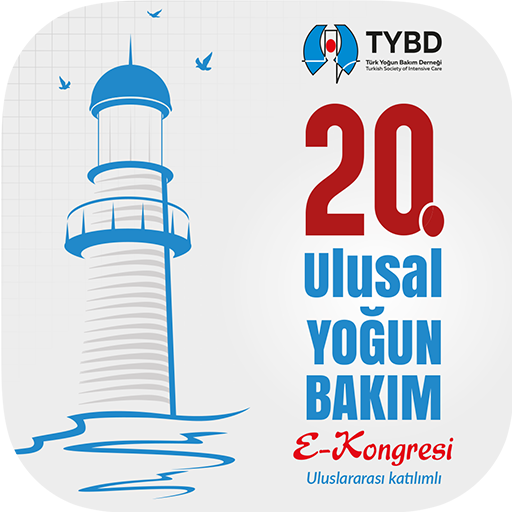 YB 2020  Icon