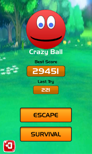 Crazy Ball