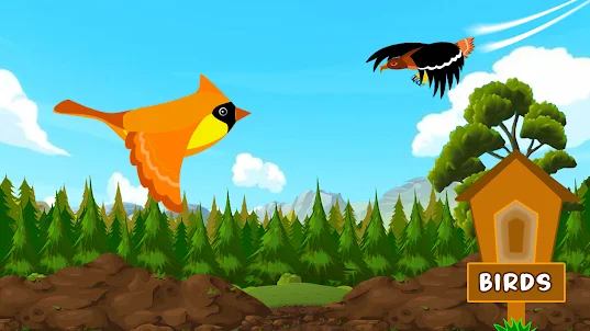Angry Flying Bird - Adventure