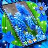 Blue Flowers Live Wallpaper icon