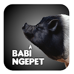 Cover Image of Download PANDUAN KAYA : BABI NGEPET 1.0.0 APK