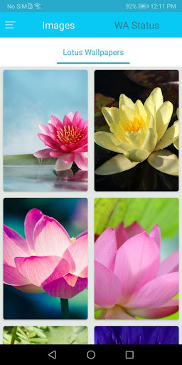 Android application Lotus Flower Wallpapers screenshort