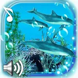 Dolphins Sounds Live Wallpaper icon