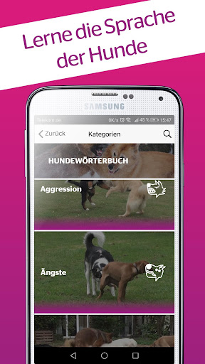 DogDict Screen 2