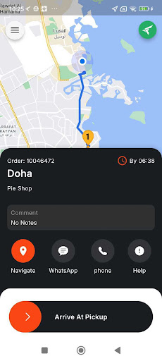 Screenshot of Falcon Flex Driver