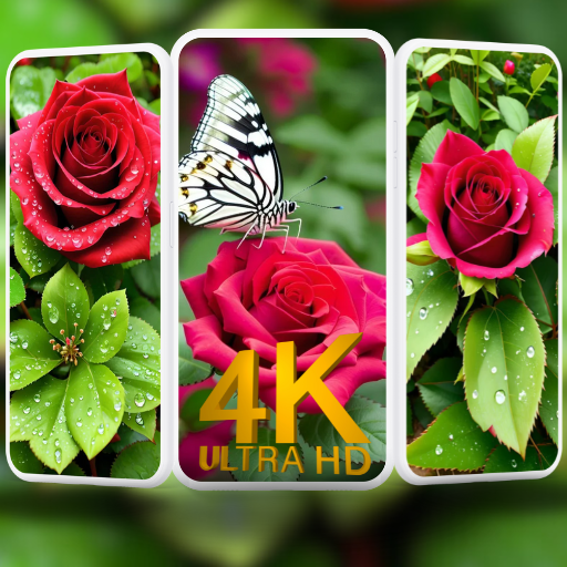 Cool Flower Wallpaper HD | 4K logo